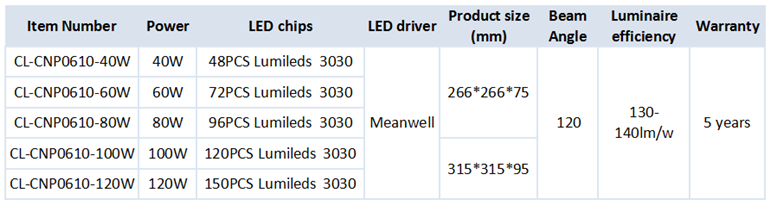 China factory 40W 60W 80w LED canopy light
