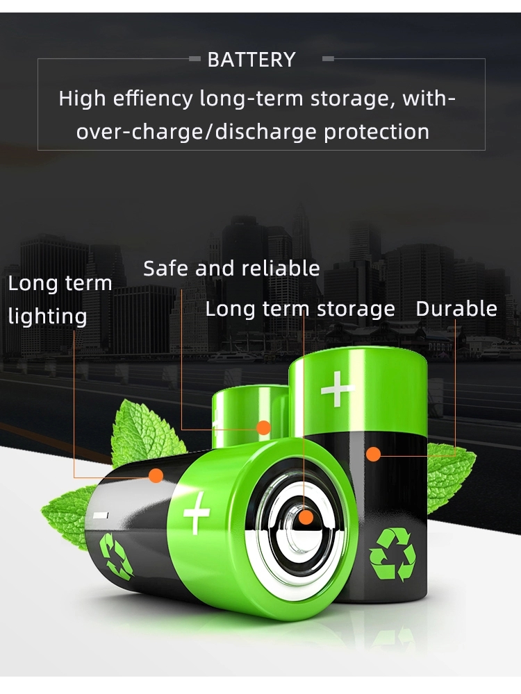 solar street light with LiFePo4 battery