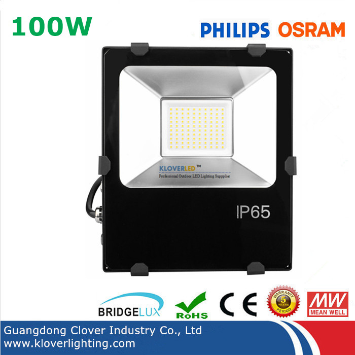 super brigth IP65 100W LED flood lights