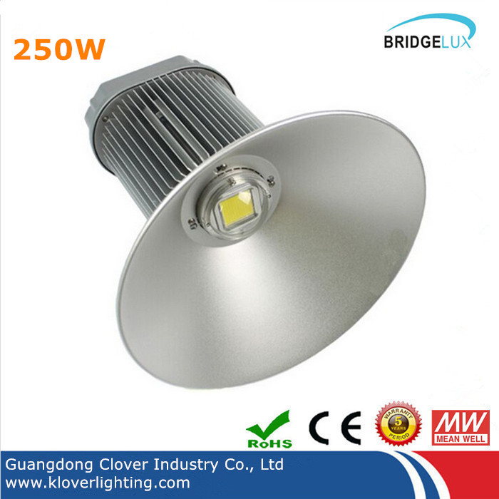 Bridgelux COB 250W led high bay light with Meanwell driver