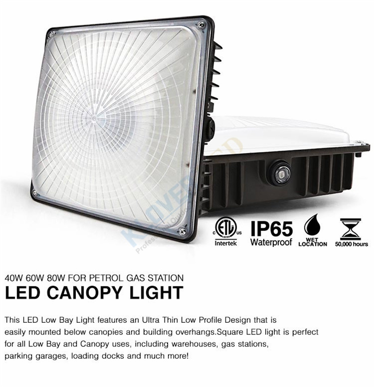 China Factory Sale Square 40W60W80W LED Canopy Light for Petrol Station